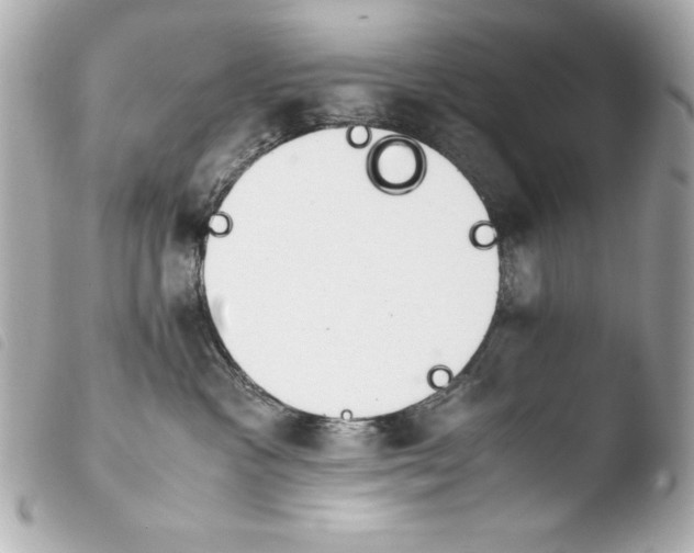 X0000103940333200810031328