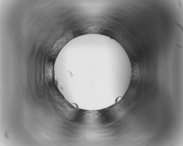 X0000103940334200810031328