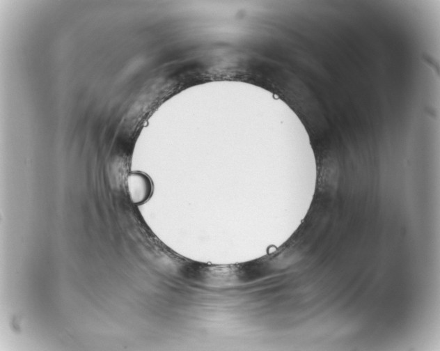 X0000103940335200810031328