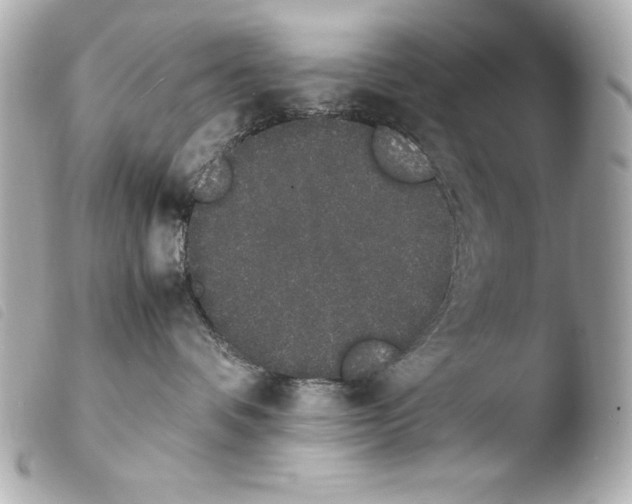 X0000103940336200810031328