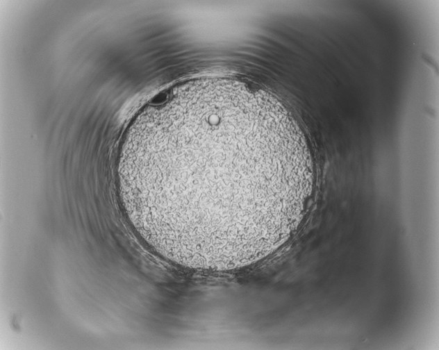 X0000103940337200810031327