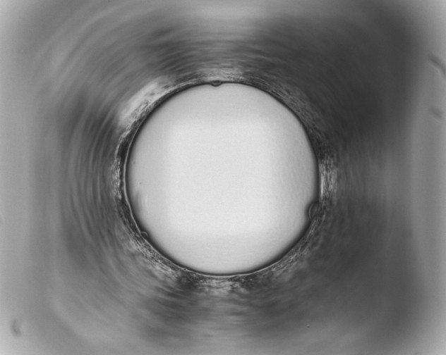 X0000103940339200810031327