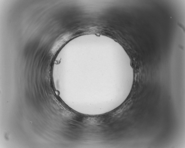 X0000103940341200810031327