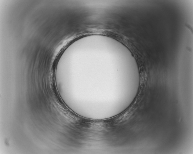 X0000103940342200810031327