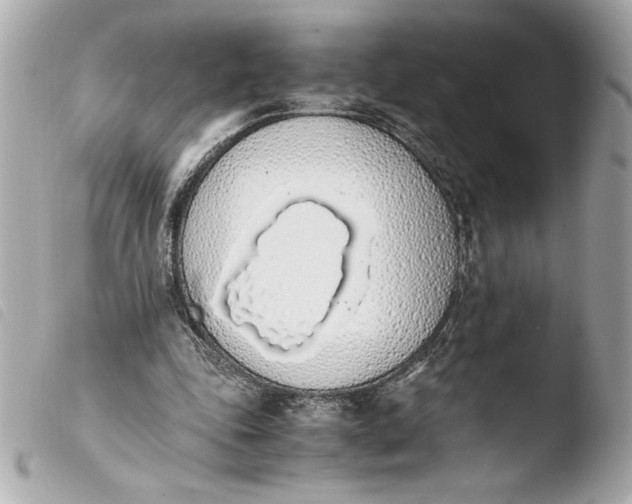 X0000103940343200810031327