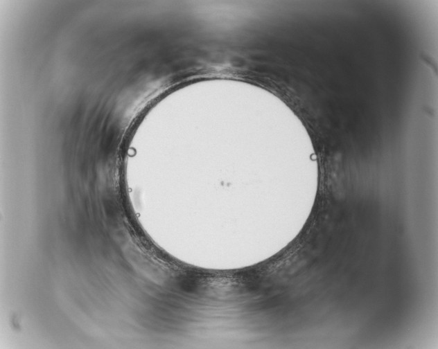 X0000103940344200810031327