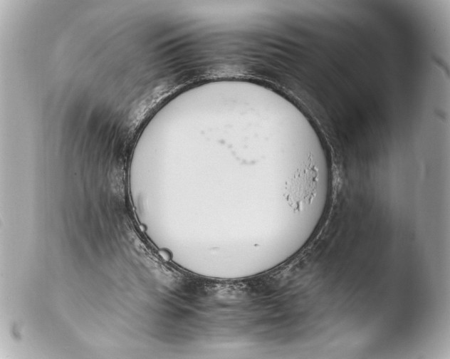 X0000103940345200810031327