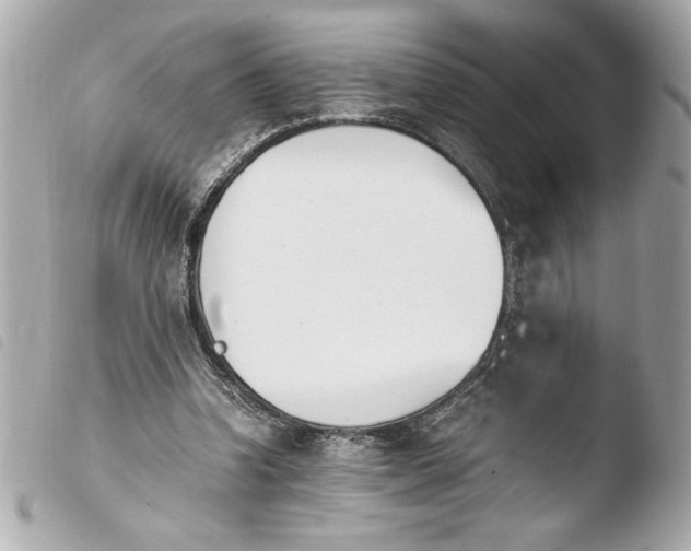 X0000103940346200810031327