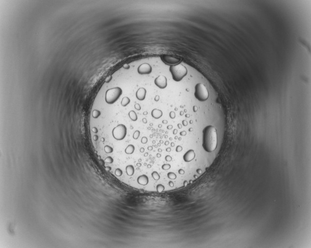 X0000103940347200810031327