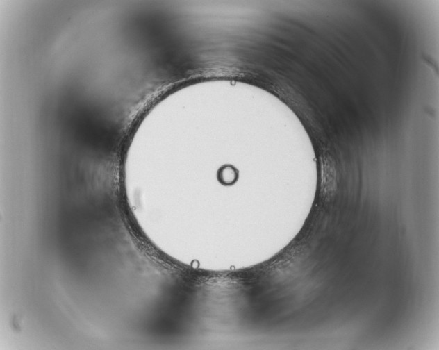 X0000103940348200810031327