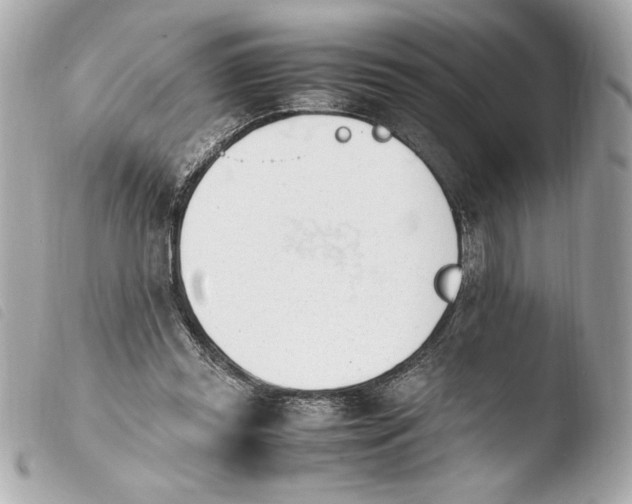 X0000103940349200810031327