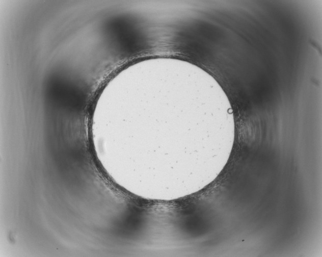 X0000103940350200810031327