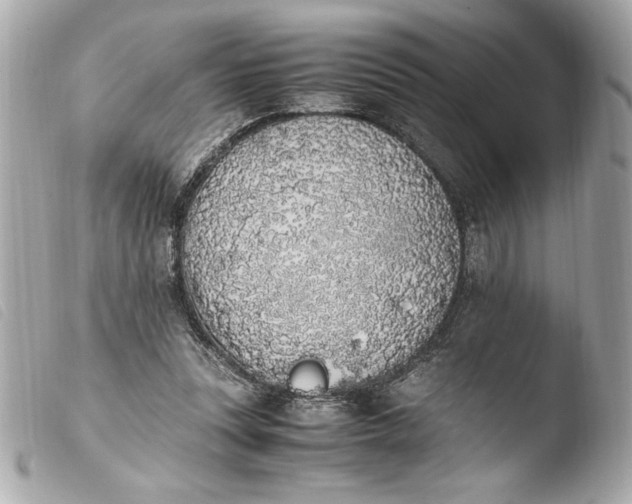 X0000103940351200810031327