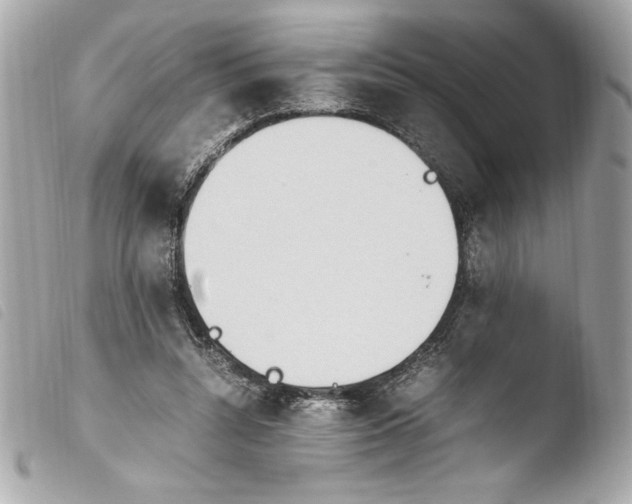 X0000103940352200810031327