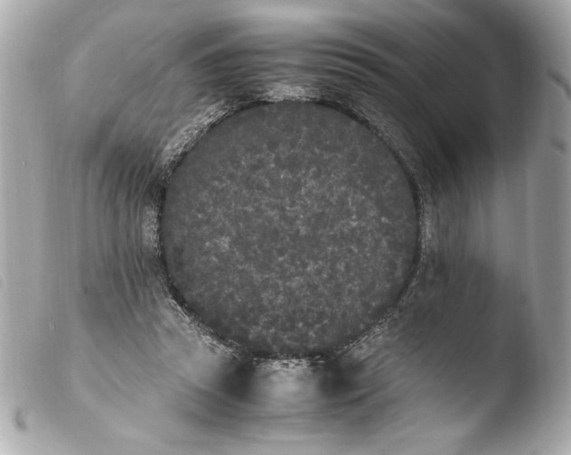 X0000103940353200810031327