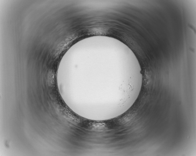 X0000103940355200810031327