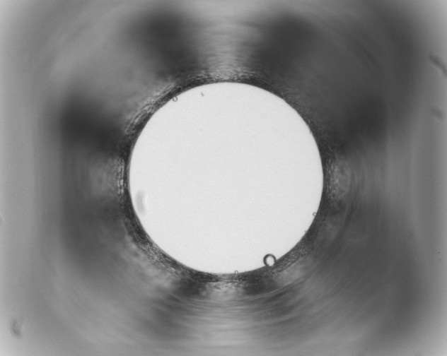 X0000103940356200810031327