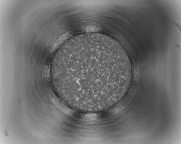 X0000103940357200810031327