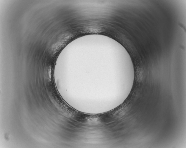 X0000103940358200810031327