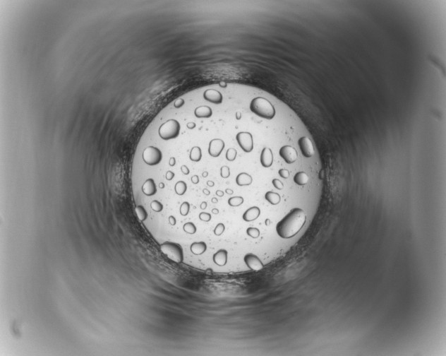 X0000103940359200810031327