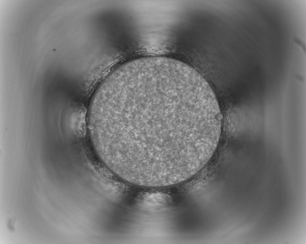 X0000103940360200810031327