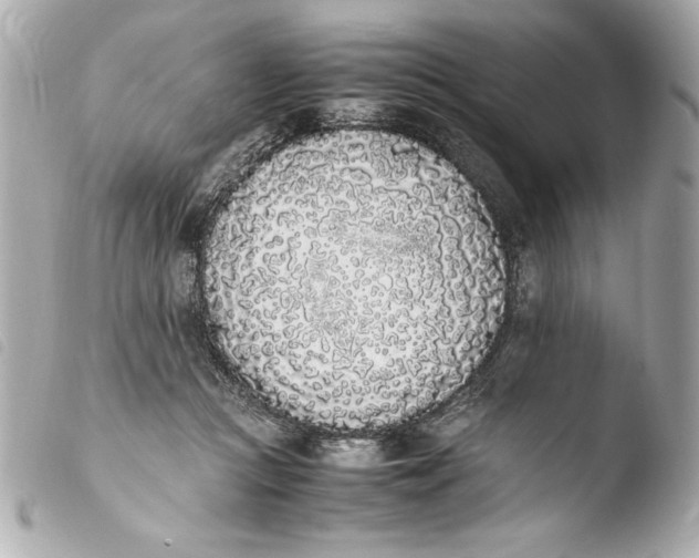 X0000103940361200810031328