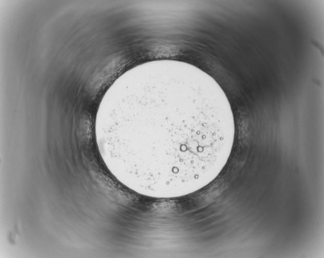 X0000103940362200810031328