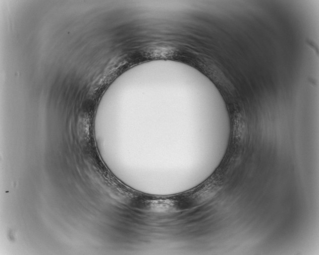 X0000103940363200810031328