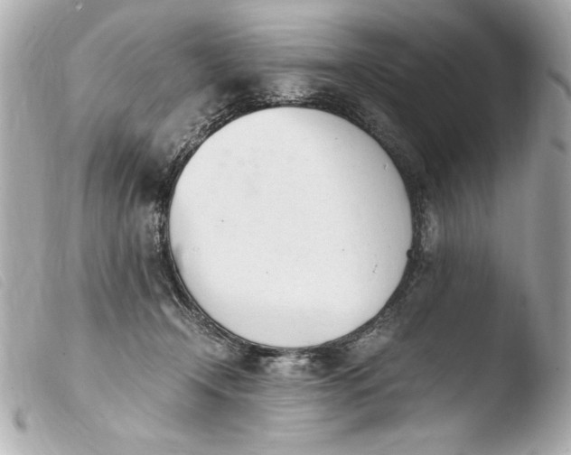 X0000103940366200810031328