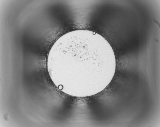 X0000103940368200810031328