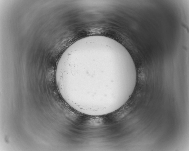 X0000103940369200810031328