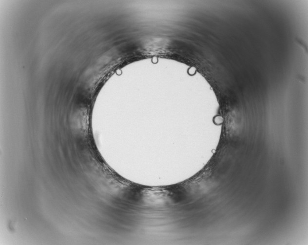 X0000103940372200810031328