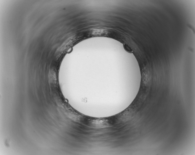 X0000103940375200810031328