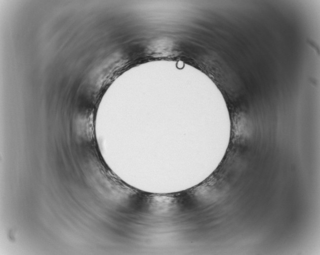 X0000103940376200810031328