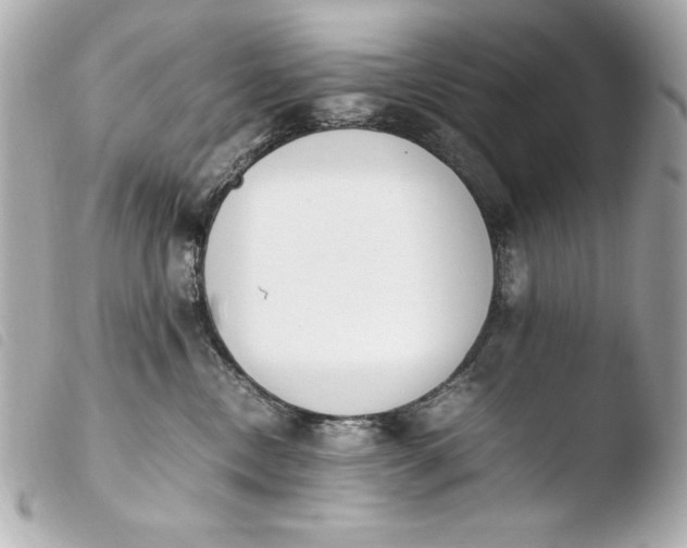 X0000103940378200810031328