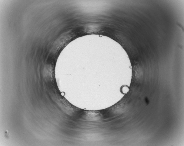 X0000103940380200810031328