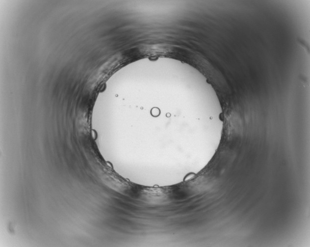 X0000103940381200810031328