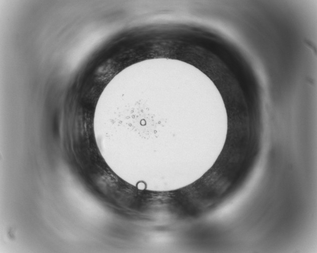 X0000103940382200810031328