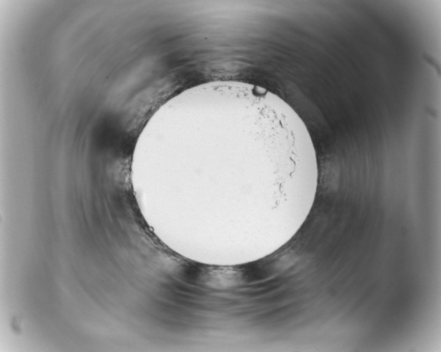 X0000103940383200810031328