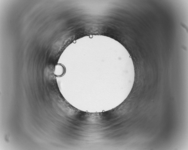 X0000103940384200810031328