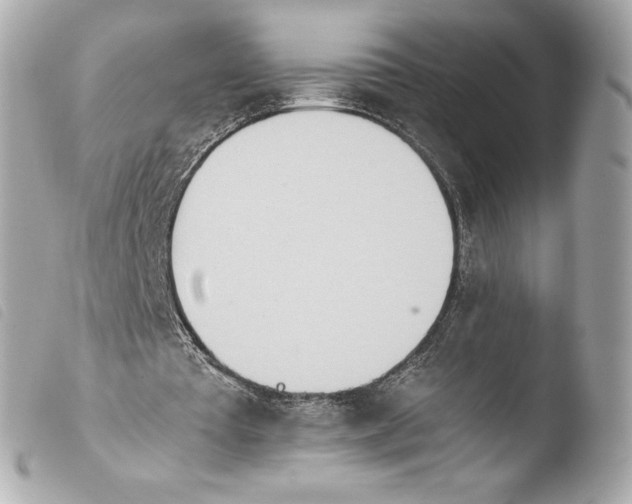 X0000103940385200810031327