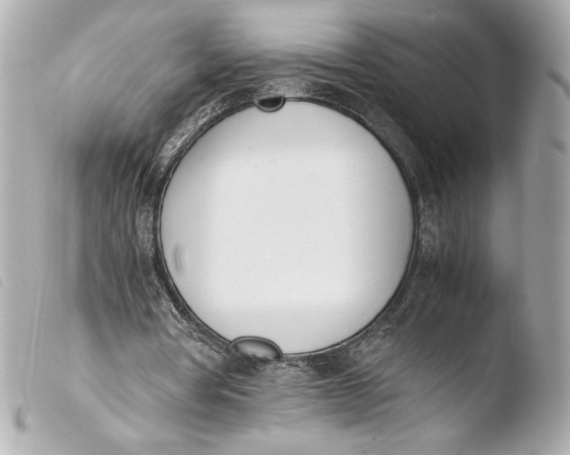 X0000103940386200810031327