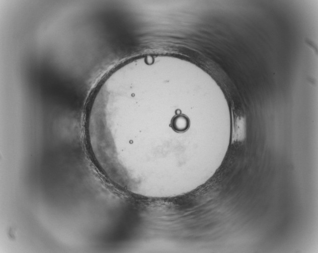 X0000103940387200810031327