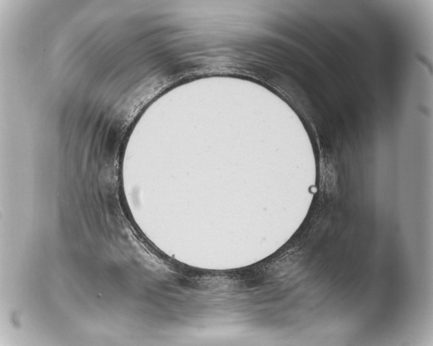 X0000103940389200810031327