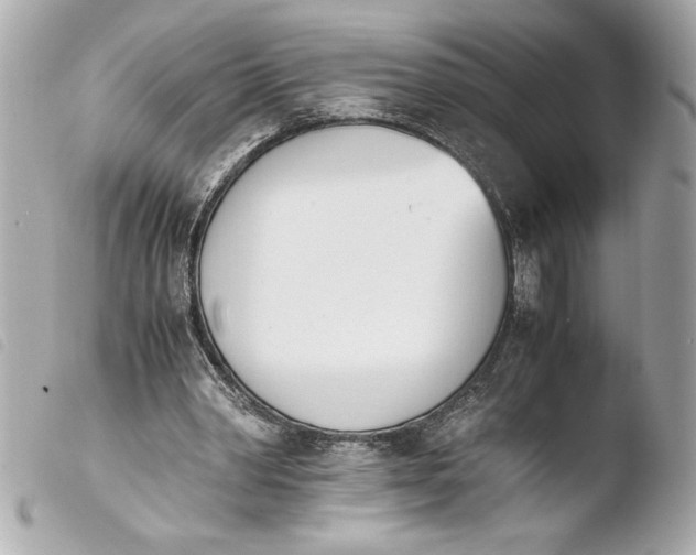 X0000103940390200810031327