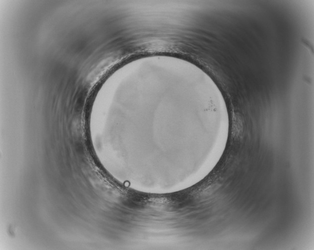 X0000103940391200810031327