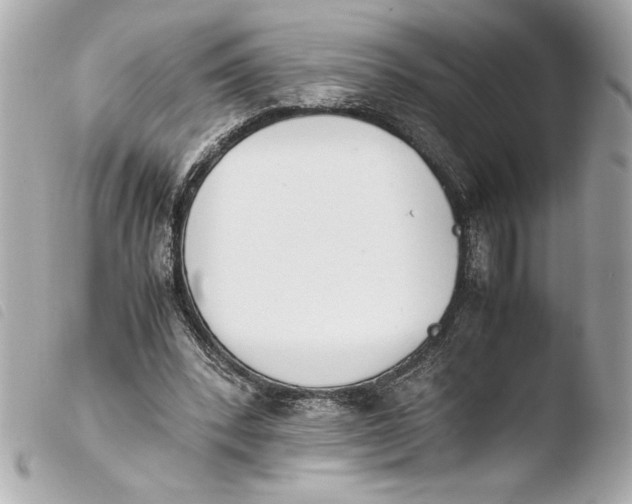 X0000103940392200810031327