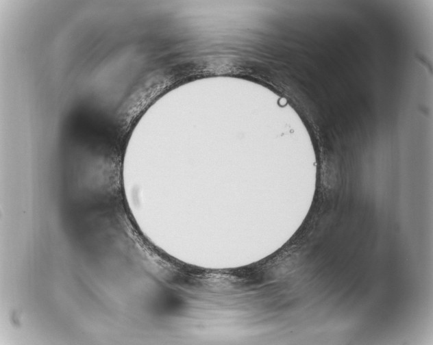 X0000103940393200810031327