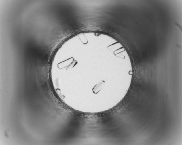 X0000103940395200810031327