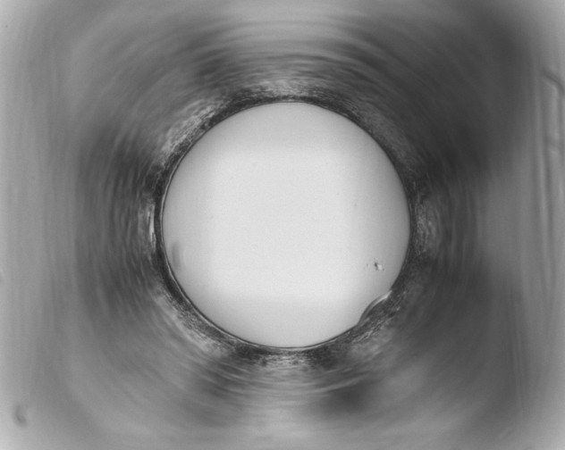 X0000103940398200810031327